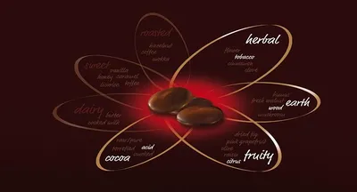 Chocolat Noir Origin Vietnam 73%